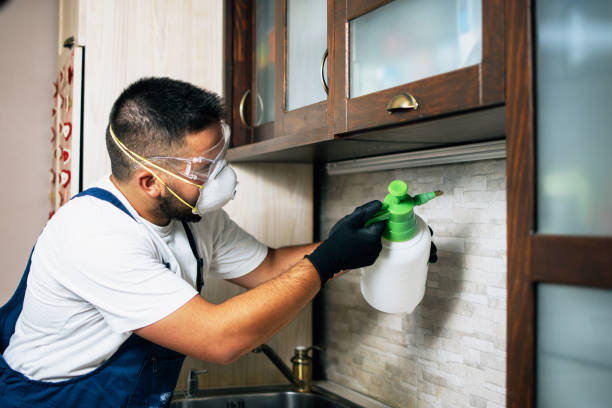 Best Best Pest Control Companies  in Roosevelt, NY