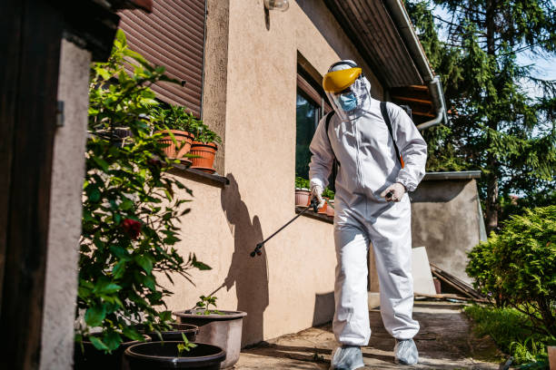Best Termite Control Services  in Roosevelt, NY