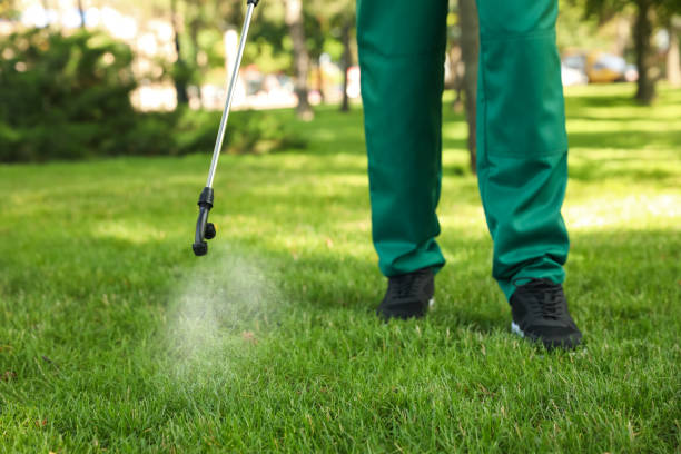 Best Pest Removal Services  in Roosevelt, NY