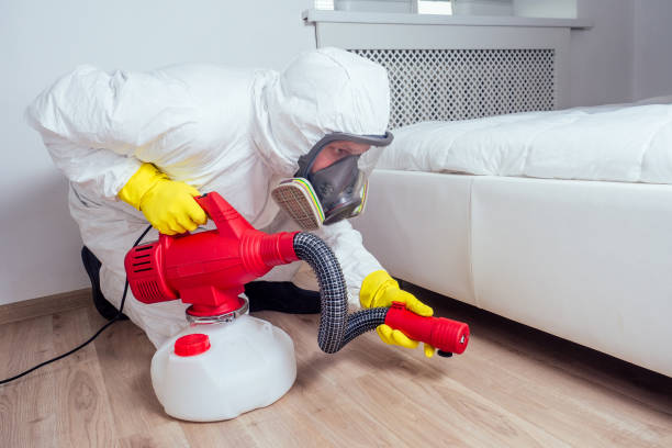 Best Residential Pest Control  in Roosevelt, NY