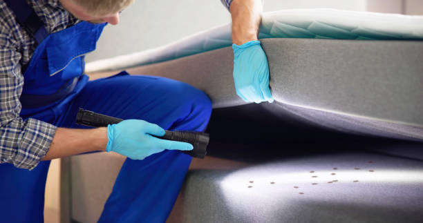 Best Cockroach Control Services  in Roosevelt, NY