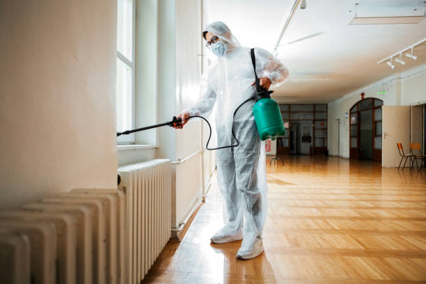 Best Termite Control Services  in Roosevelt, NY